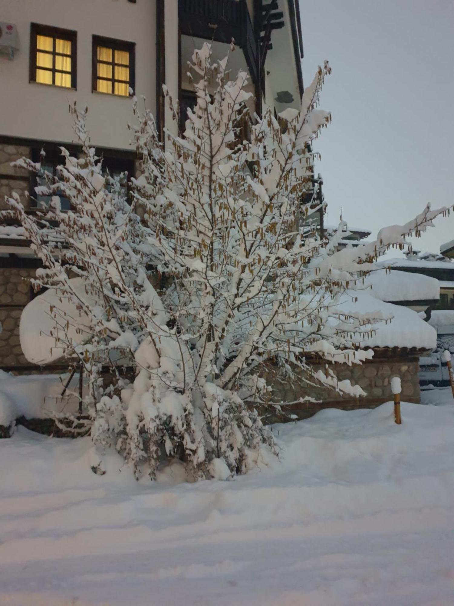 Dream Apart Hotel 207 Bansko Kamer foto