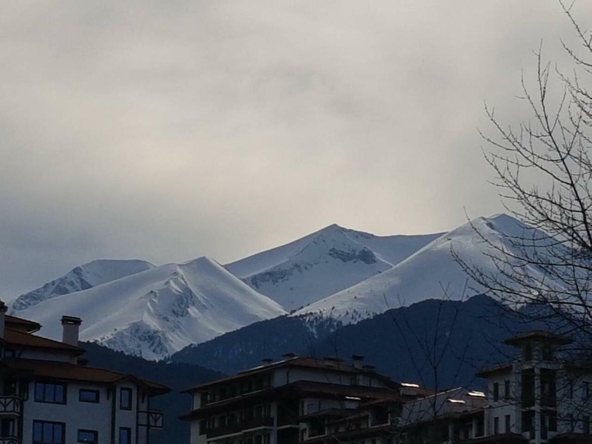 Dream Apart Hotel 207 Bansko Buitenkant foto